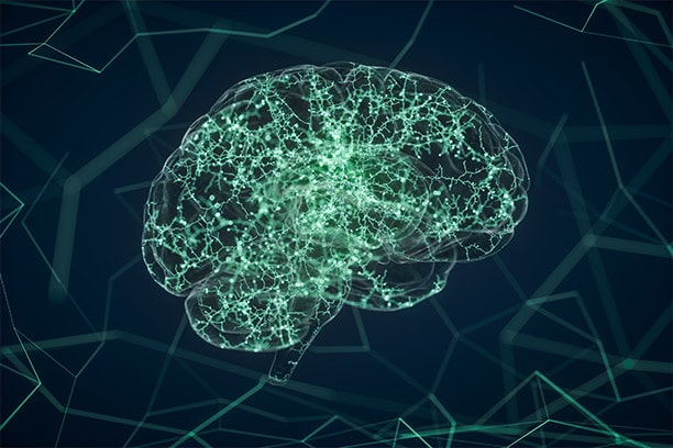 qEEG Brain Diagram